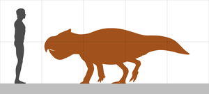 comparação de tamanho entre Udanoceratops e um humano com 1,80 metros de altura