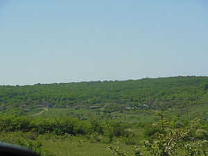 Вид на село зі сходу