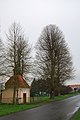 Kaple a památný strom