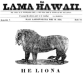 Jornal in hawaiano, le 16 de maio 1834