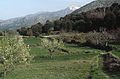 Lasithi-Hochebene mit Diktigebirge