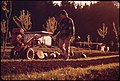 Image 46An organic farmer, California, 1972 (from History of agriculture)