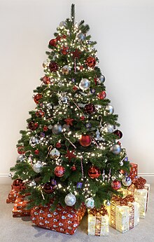 A1 Christmas Tree photo.jpg