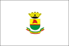 Flag of Caçapava do Sul