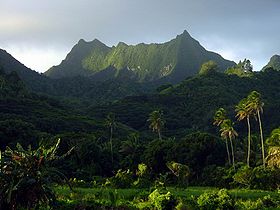 Vue depuis la côte sud