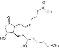 Prostaglandin E2