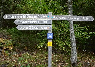 Havtornsuddslingan