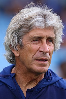 Manuel Pellegrini