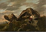 Орлы. 1650-е. Холст, масло. Королевский музей изящных искусств, Антверпен