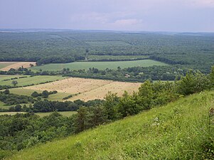 La forêt de Woëvre près de Mouzay (vue depuis la côte Saint-Germain, butte-témoin).