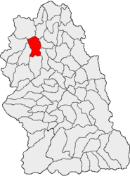 Location in Hunedoara County