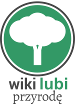 Logo konkursu