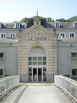 Entrée du Teich et sa passerelle sur l'Oriège (2008)