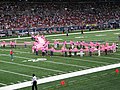 מאה נשים ששרדו את מחלת סרטן השד נושאות סרט ורוד ענק ויוצרות את הסמליל למאבק בסרטן השד. הארוע התקיים בהפסקת משחק הפוטבול בין סנט לואיס ראמס ואריזונה קרדינלס ב-7 באוקטובר 2007