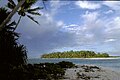 Image 8Fualifeke Islet (from Coral reefs of Tuvalu)