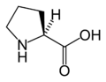 Prolina (Pro / P)