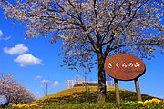 成田市さくらの山