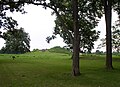 Image 5View of Mound A at Angel Mounds (from History of Indiana)