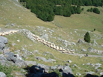 Maesaer deñved er Pireneoù, 2006.
