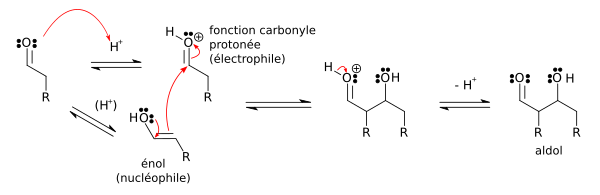 Mécanisme de la réaction aldolique d'un aldéhyde avec lui-même en catalyse acide.