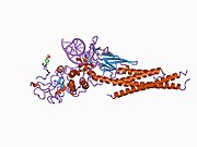 1bg1: کمپلکس ترکیبی فاکتور رونویسی STAT3B/DNA