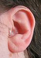 Traguspiercing med en enkel ørering gjennom tragus