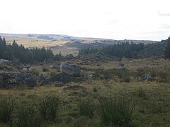 Aperçu de l'Aubrac non loin du col de Bonnecombe.