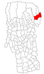 Location in Argeș County