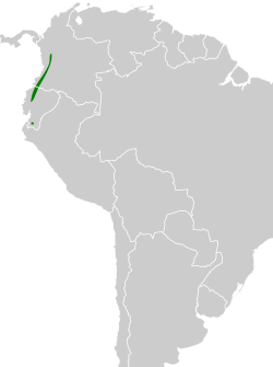 Distribución geográfica del saltarín alitorcido.