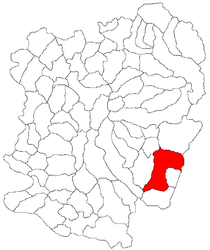 Location in Caraș-Severin County