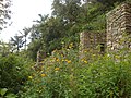 Ruins and Flora