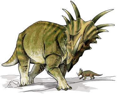 איור המשחזר סטירקוזאורוס בוגר