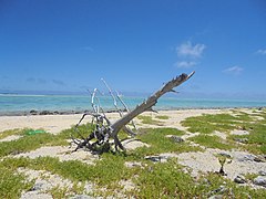 The Thirteen Islands of St Brandon - Images of Île Raphael, Cargados Carajos in Mauritius