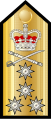 رتبة أدميرال في البحرية الملكية البريطانية.