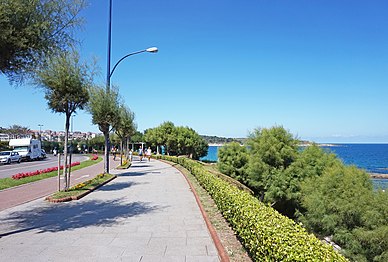 Avenida da Rainha Vitória