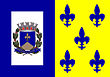 Vlag van Descalvado