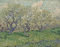 Orchard in Blossom April 1888 Van Gogh Museum, Amsterdam (F511)