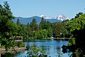 Mirror Pond -lampi.