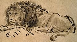 Rembrandt-A-Lion-Lying-Down-207063 detail.jpg