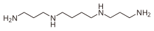 Spermine is a long, symmetrical molecule capped at both ends with amino groups N H 2. It has two N H groups symmetrically placed within the molecule, separated from each other by four methylene groups C H 2, and from the amino ends by three methylene groups. Thus, the full molecular formula is N H 2 C H 2 C H 2 C H 2 N H C H 2 C H 2 C H 2 C H 2 N H C H 2 C H 2 C H 2 N H 2.