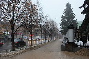 Vista no inverno