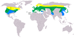 Mapa de distribuição da coruja-pequena