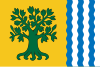 Flag of Riós