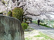 香流川緑道