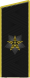 2013年至今俄羅斯海軍元帥肩章