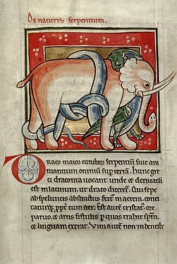 Bestiario de Radford, elefante