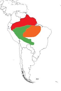 Distribuição aproximada das espécies: P. crepitans (vermelho), P. leucoptera (verde) e P. viridis (laranja).