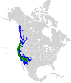 Mapa rozšíření (zeleně hnízdiště, modře zimoviště)