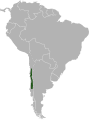 Range of Chinchilla lanigera.