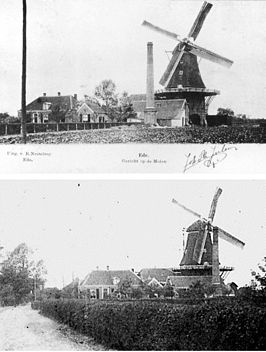 De Concordiamolen omstreeks 1905